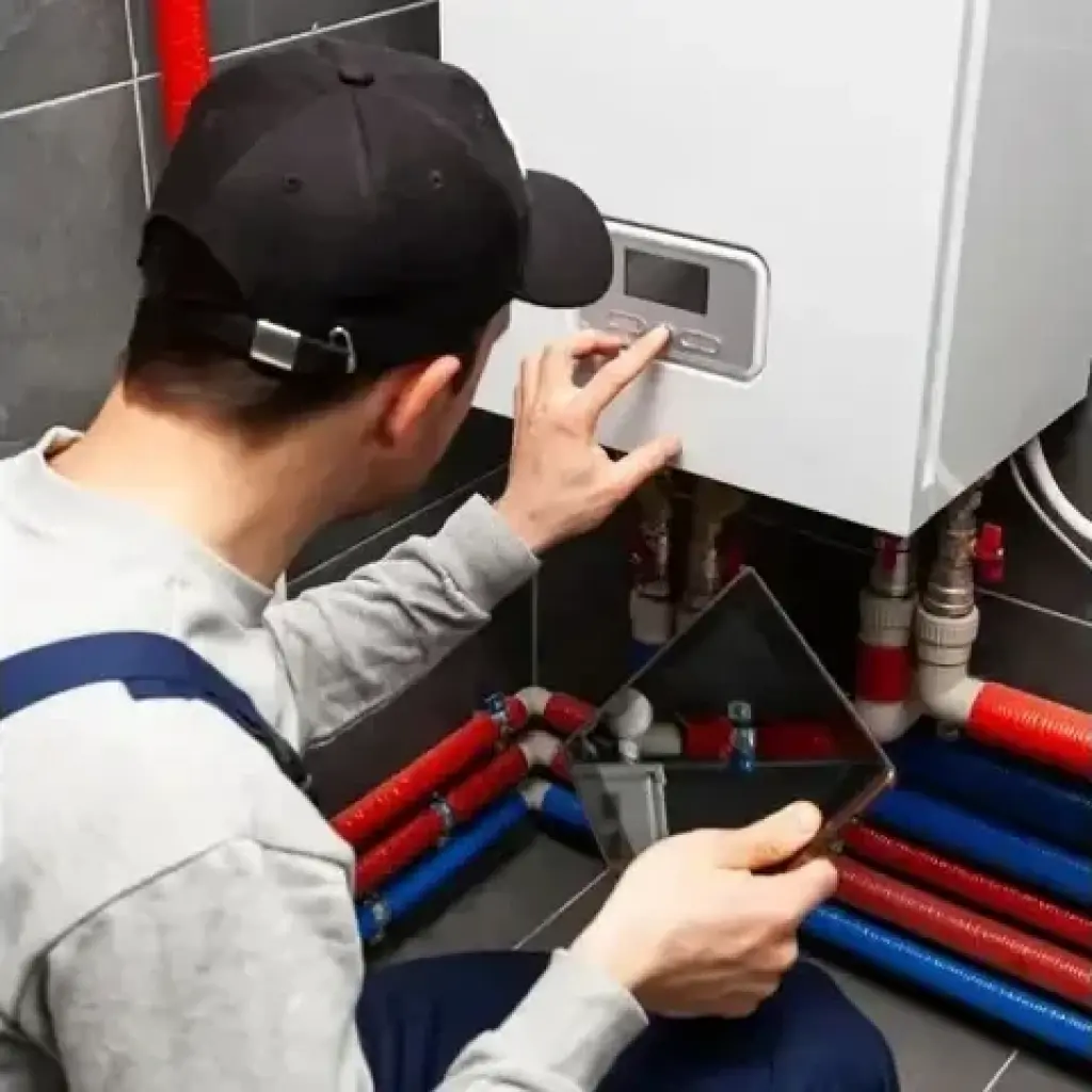 Handyman Profesional
