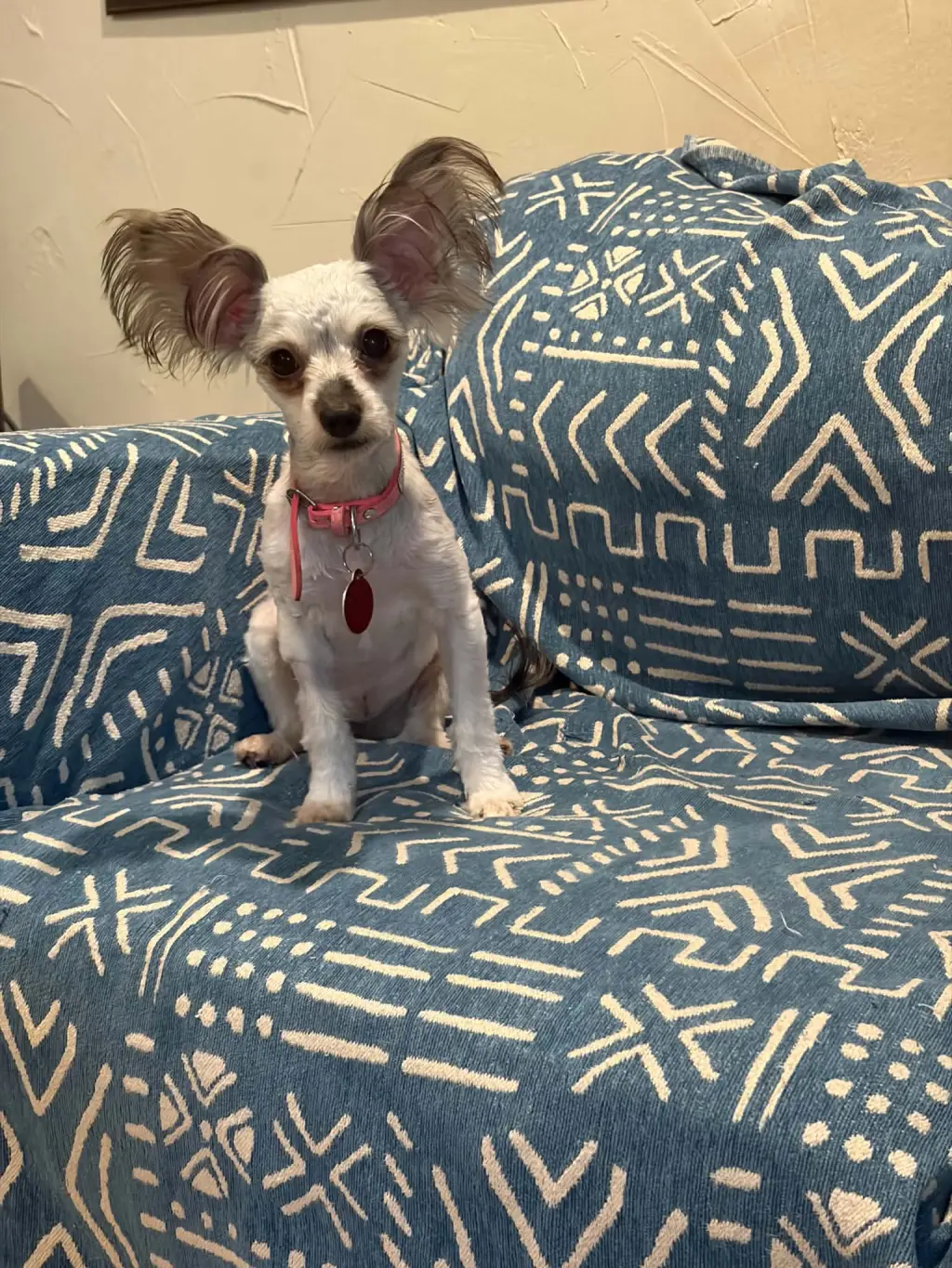 POPPY S