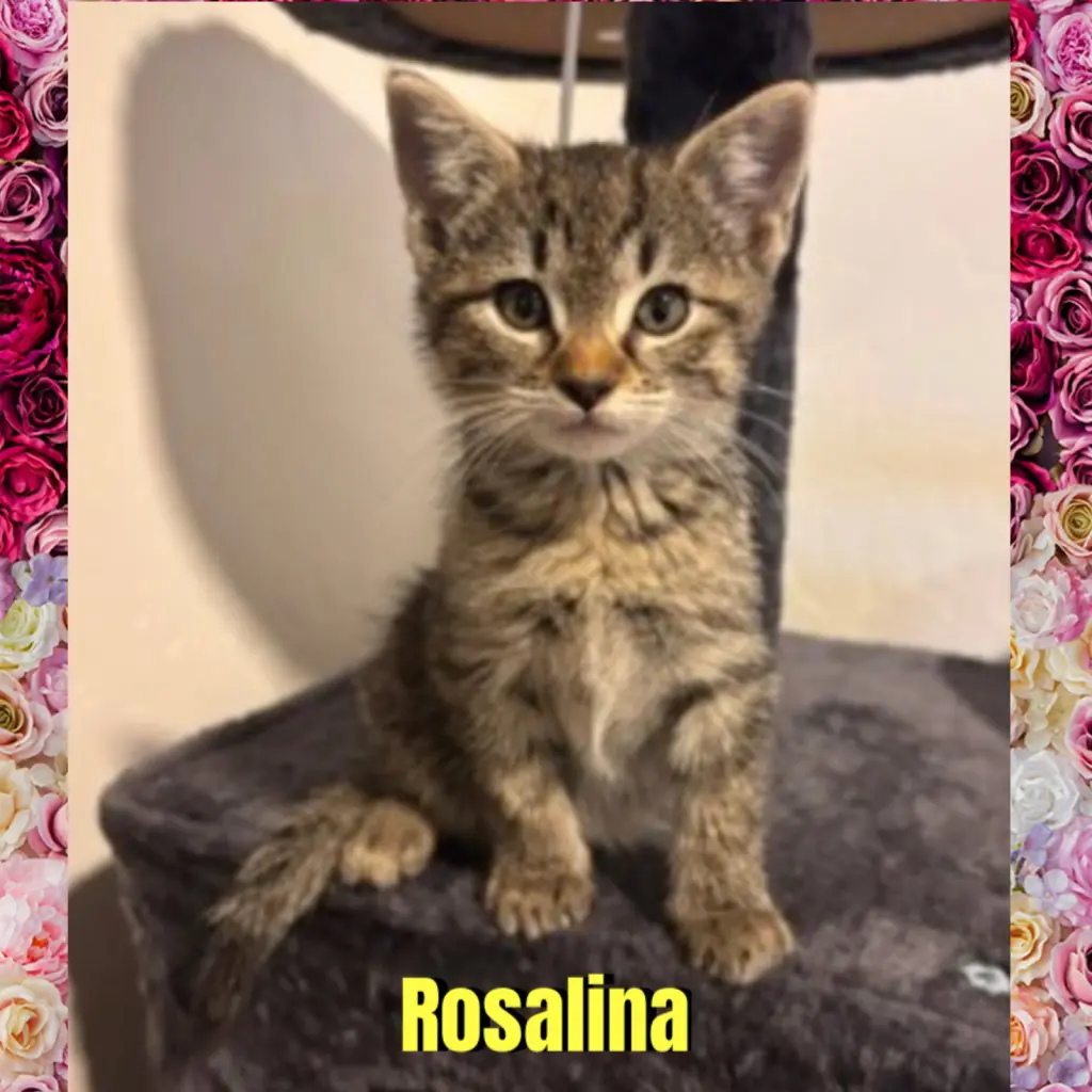 Rosalina