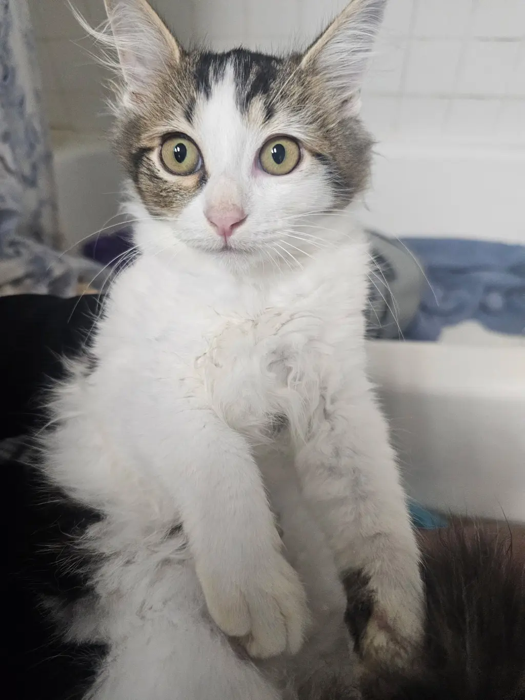 Pixel