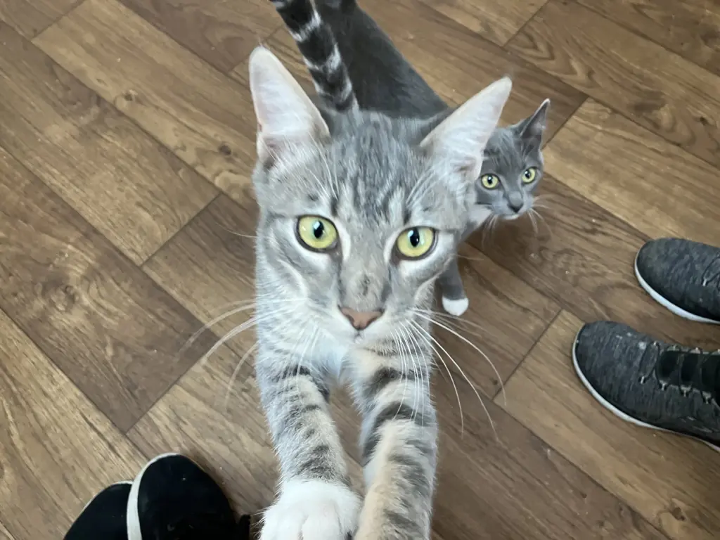 George