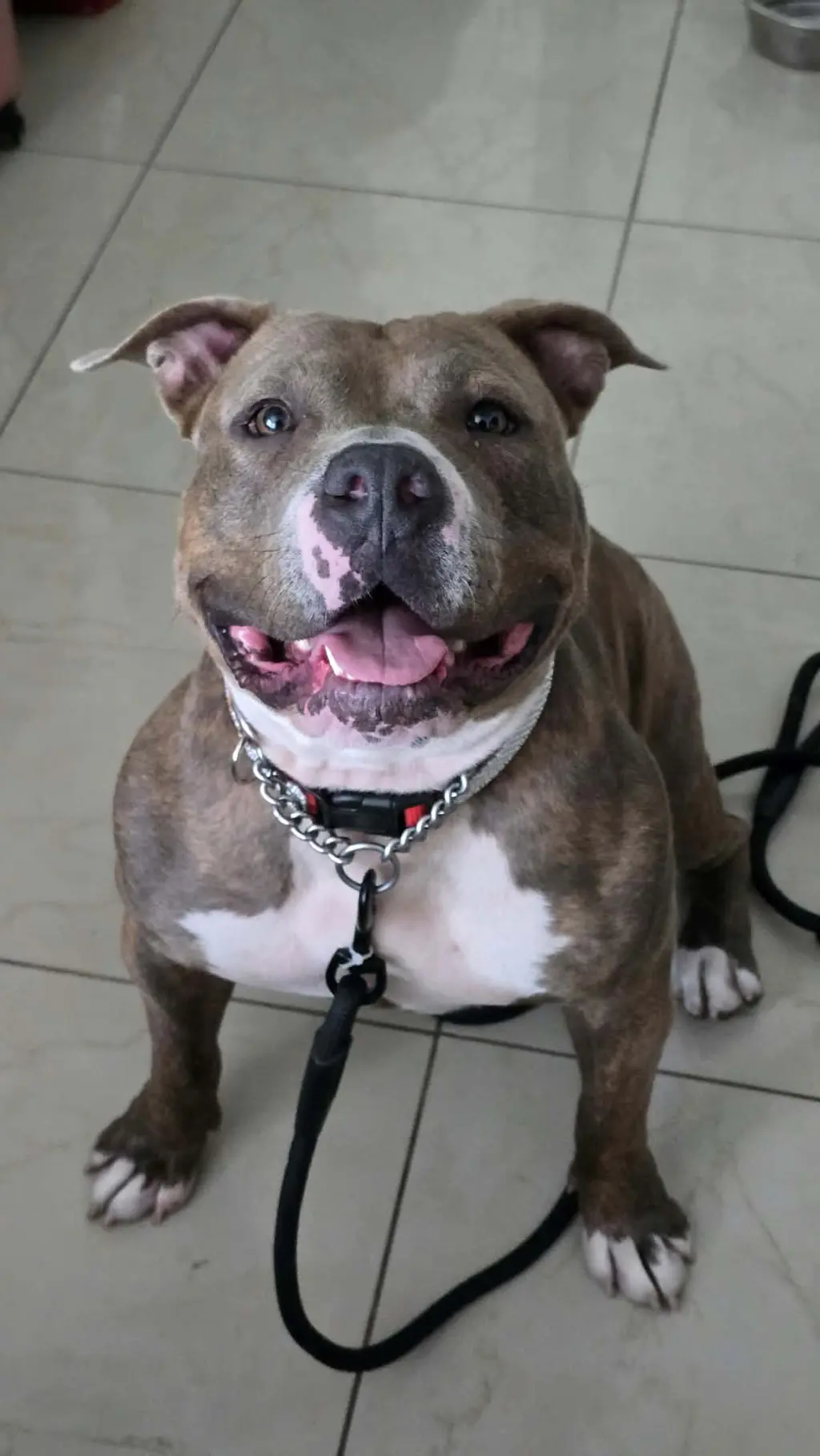 Gabby