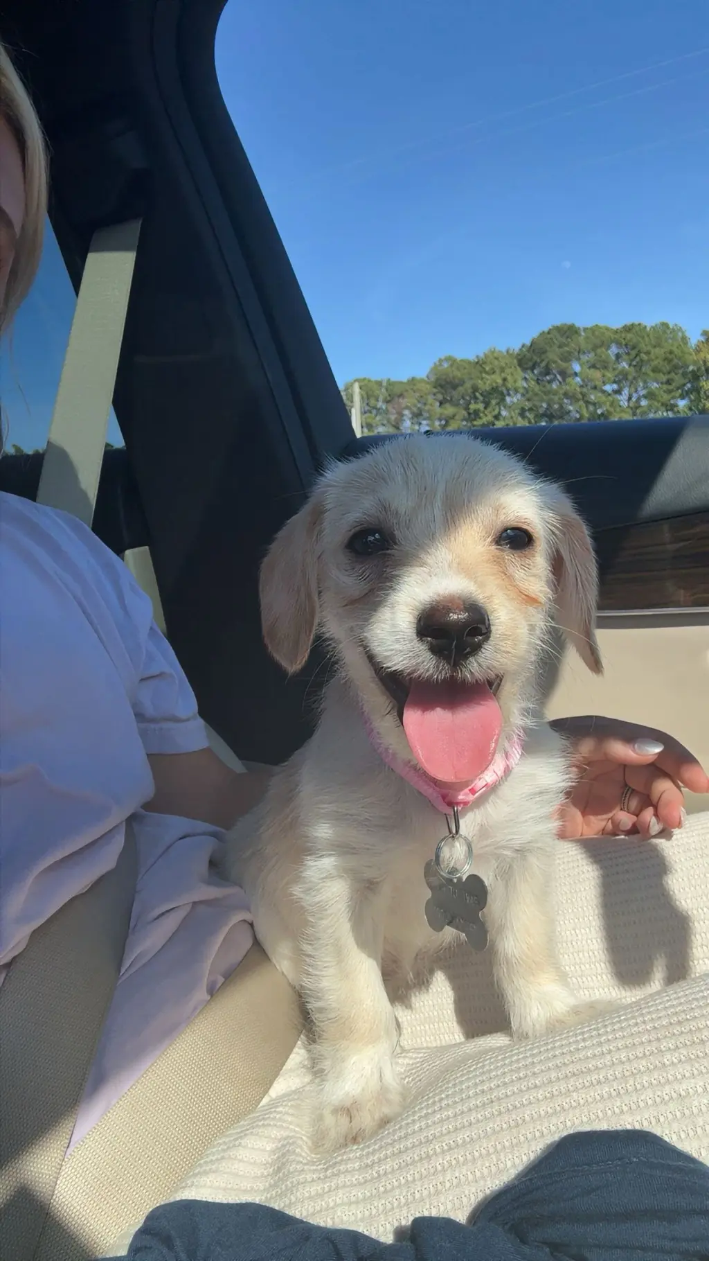 Birdie - "B" Litter