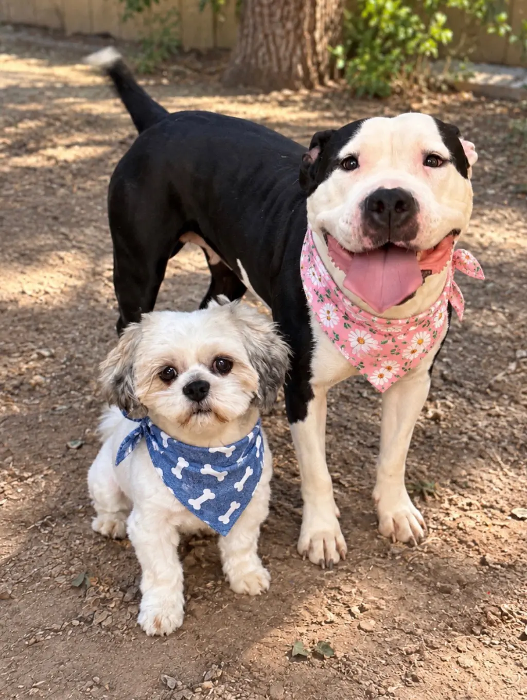 Snoopy and Lucy