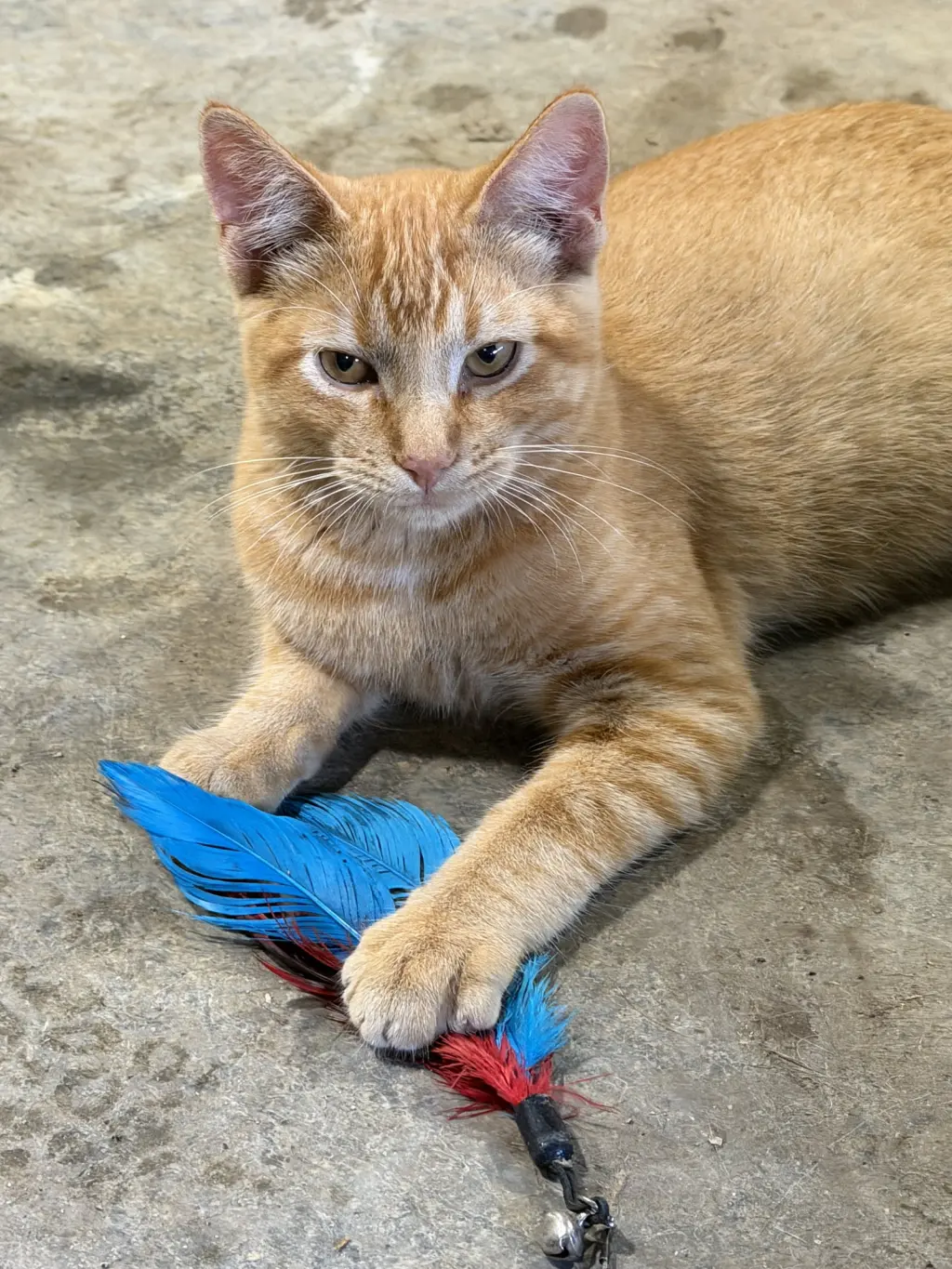 Jeremy