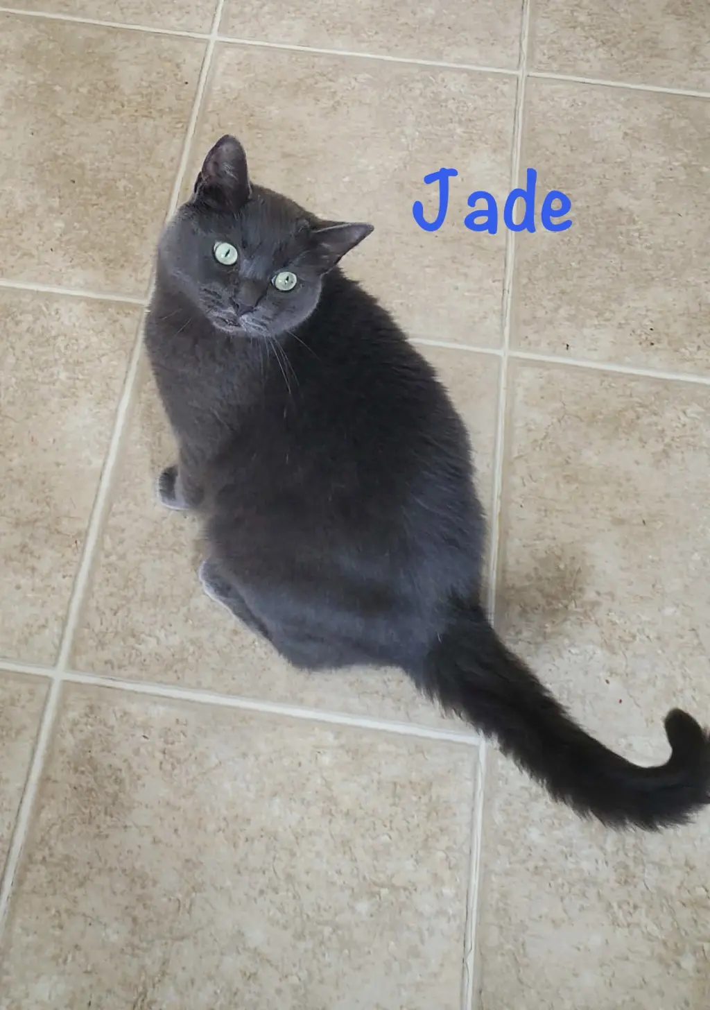 Jade
