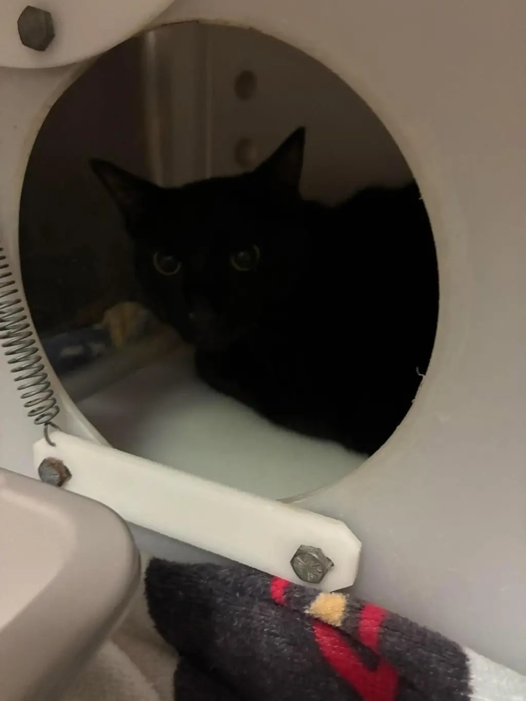 Loki