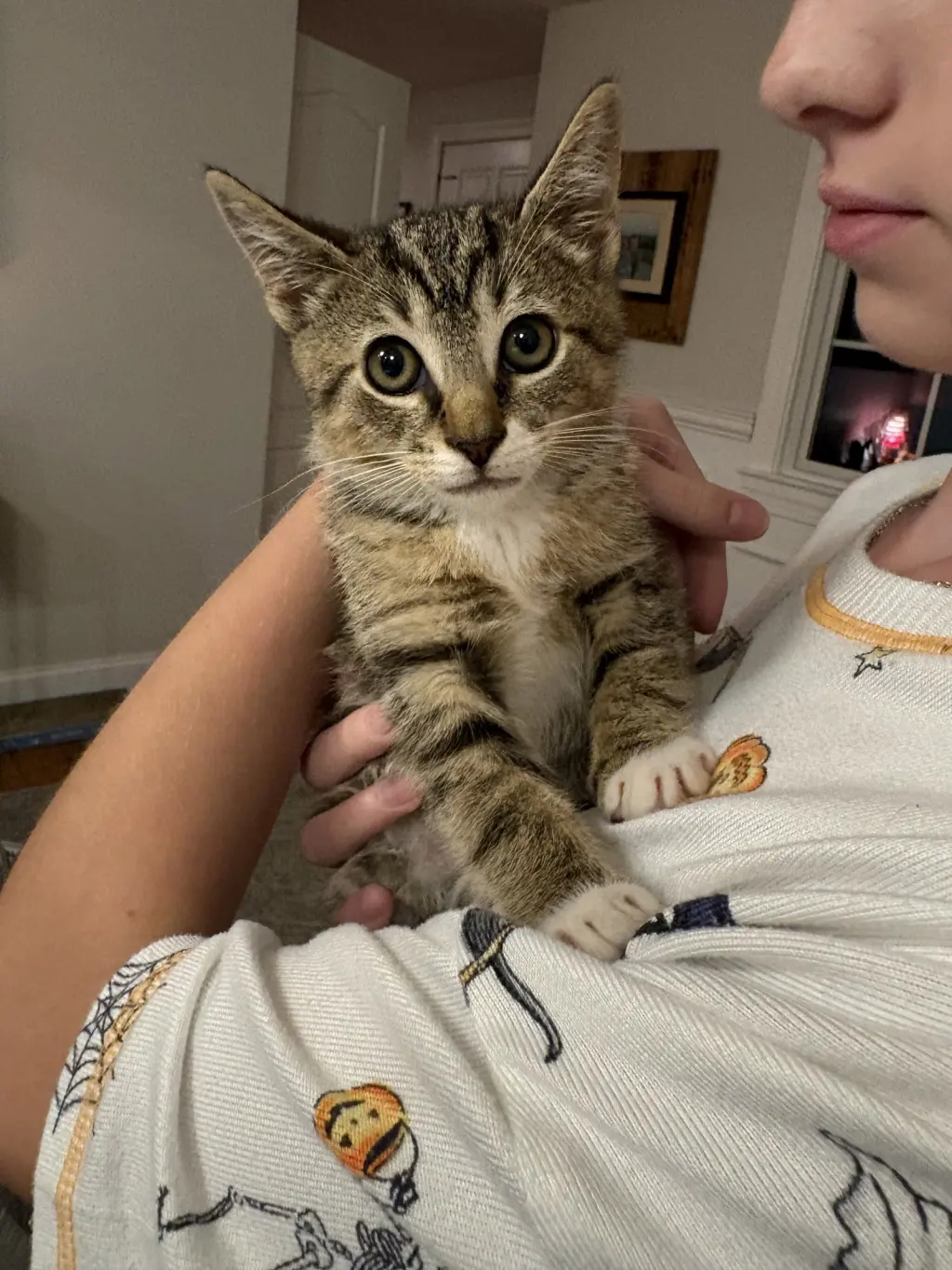 Merlin