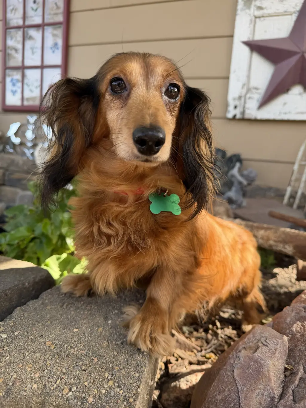 Winnie