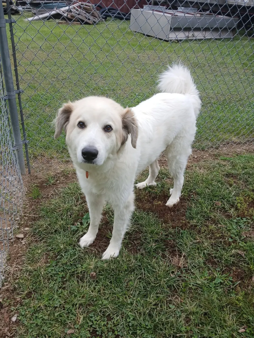 Lucy