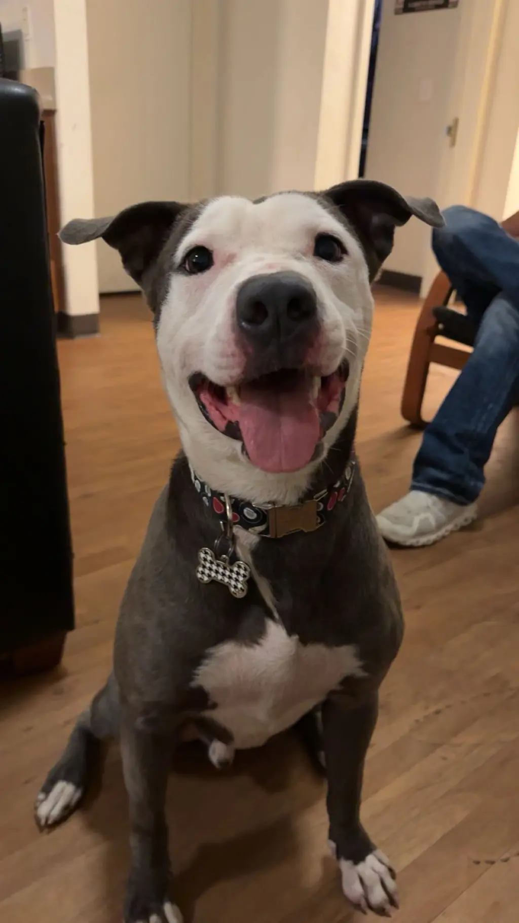 Enzo