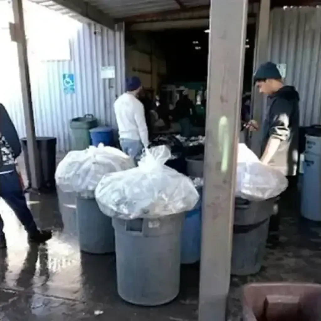 💰 ¡GANA MÁS RECICLANDO HOY!