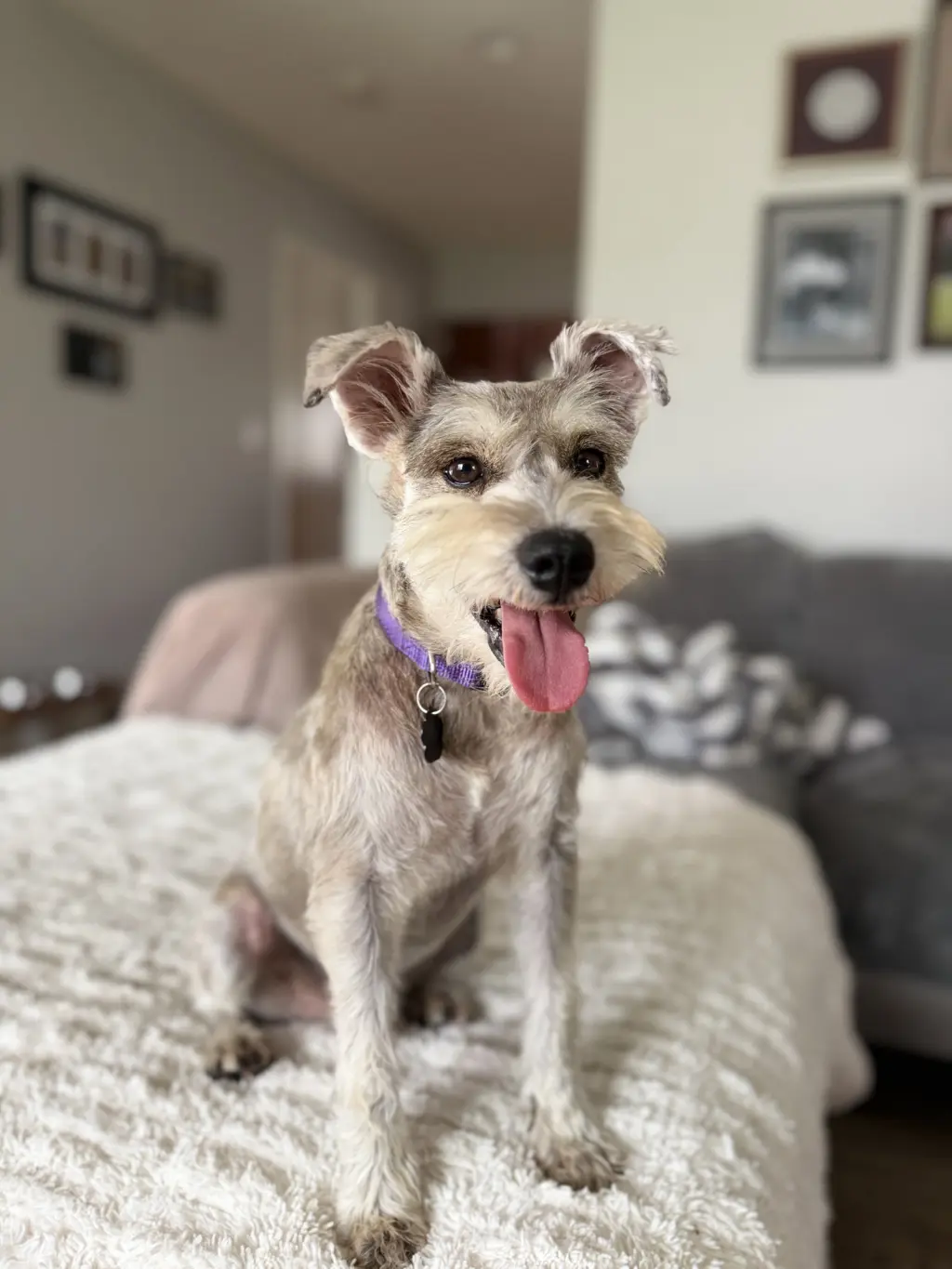 Murphy