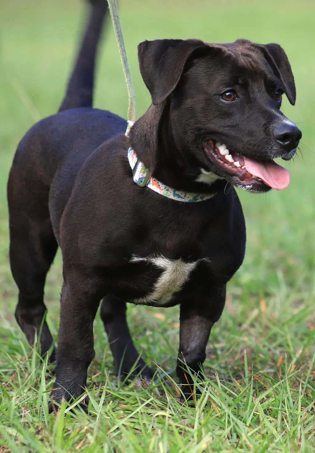Max