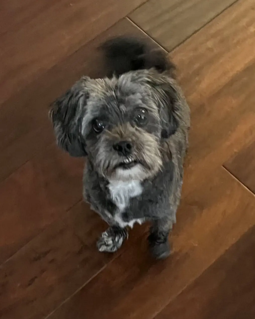 Walter