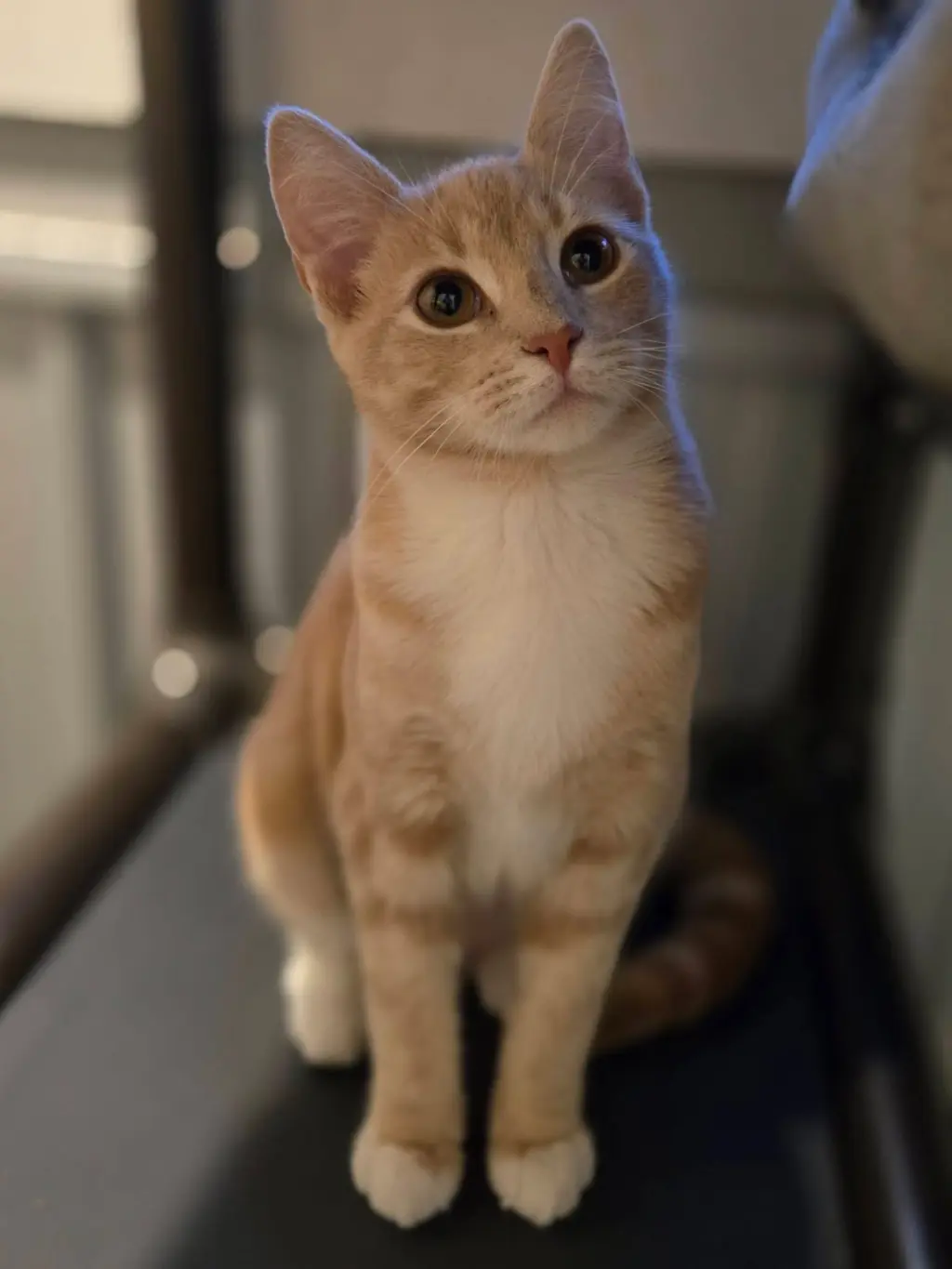 Lillian