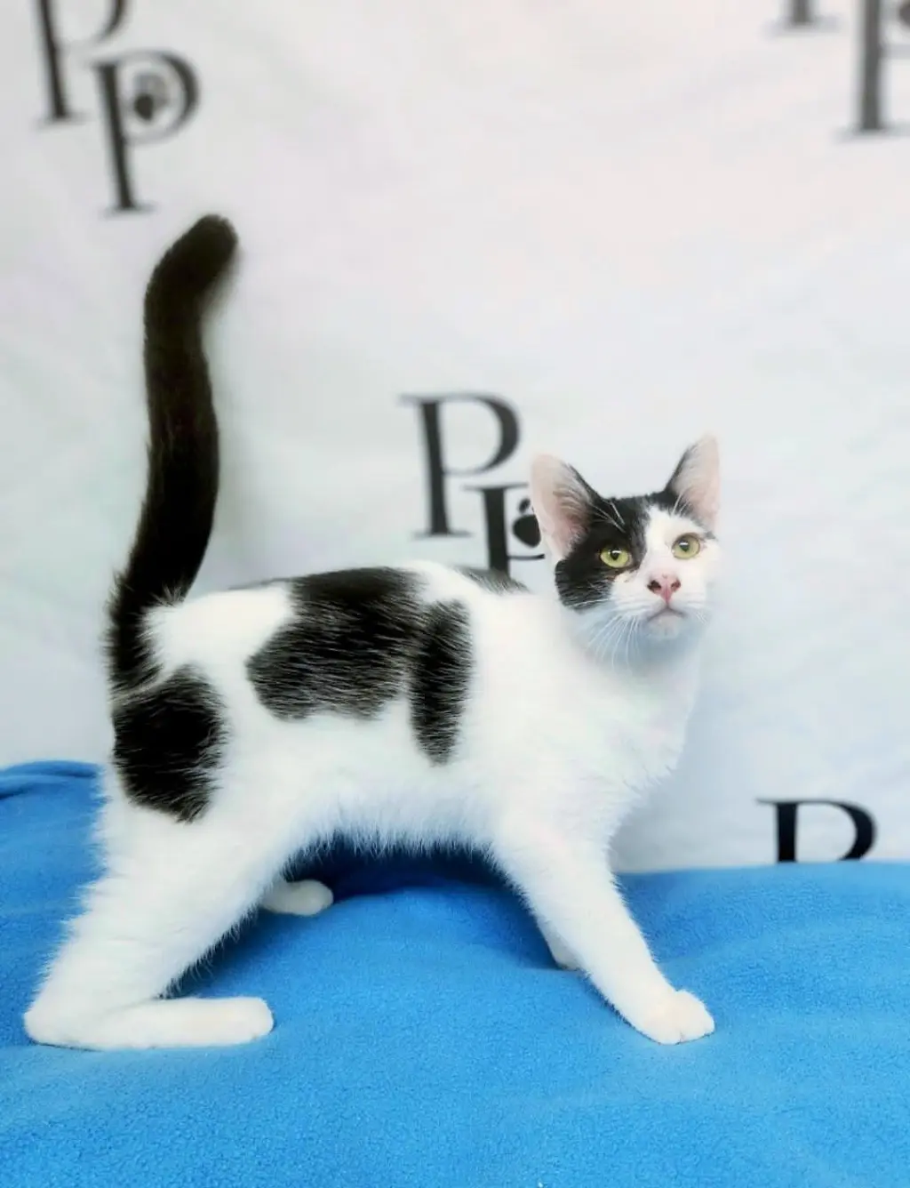 Rio