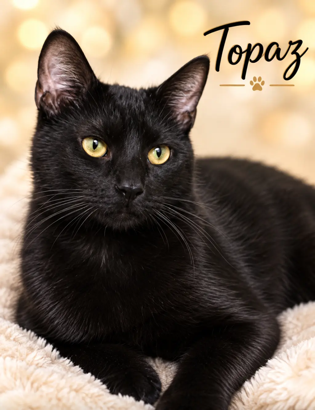 Topaz (FCID# 09/02/2026 - 129) Willow Grove