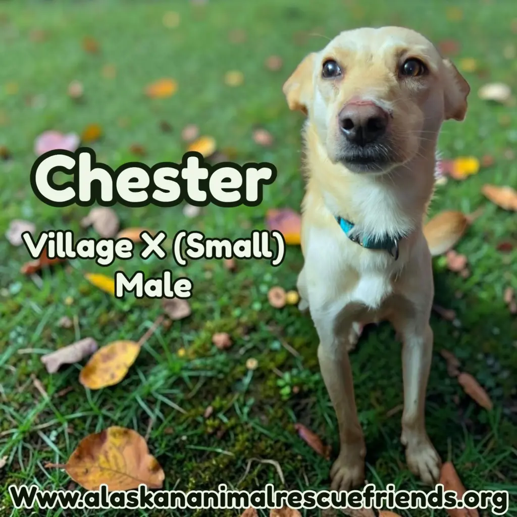 Chester