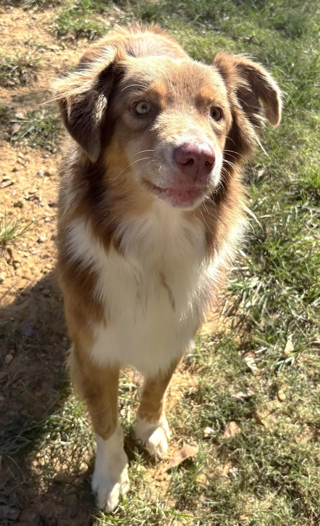 261562 Rudy