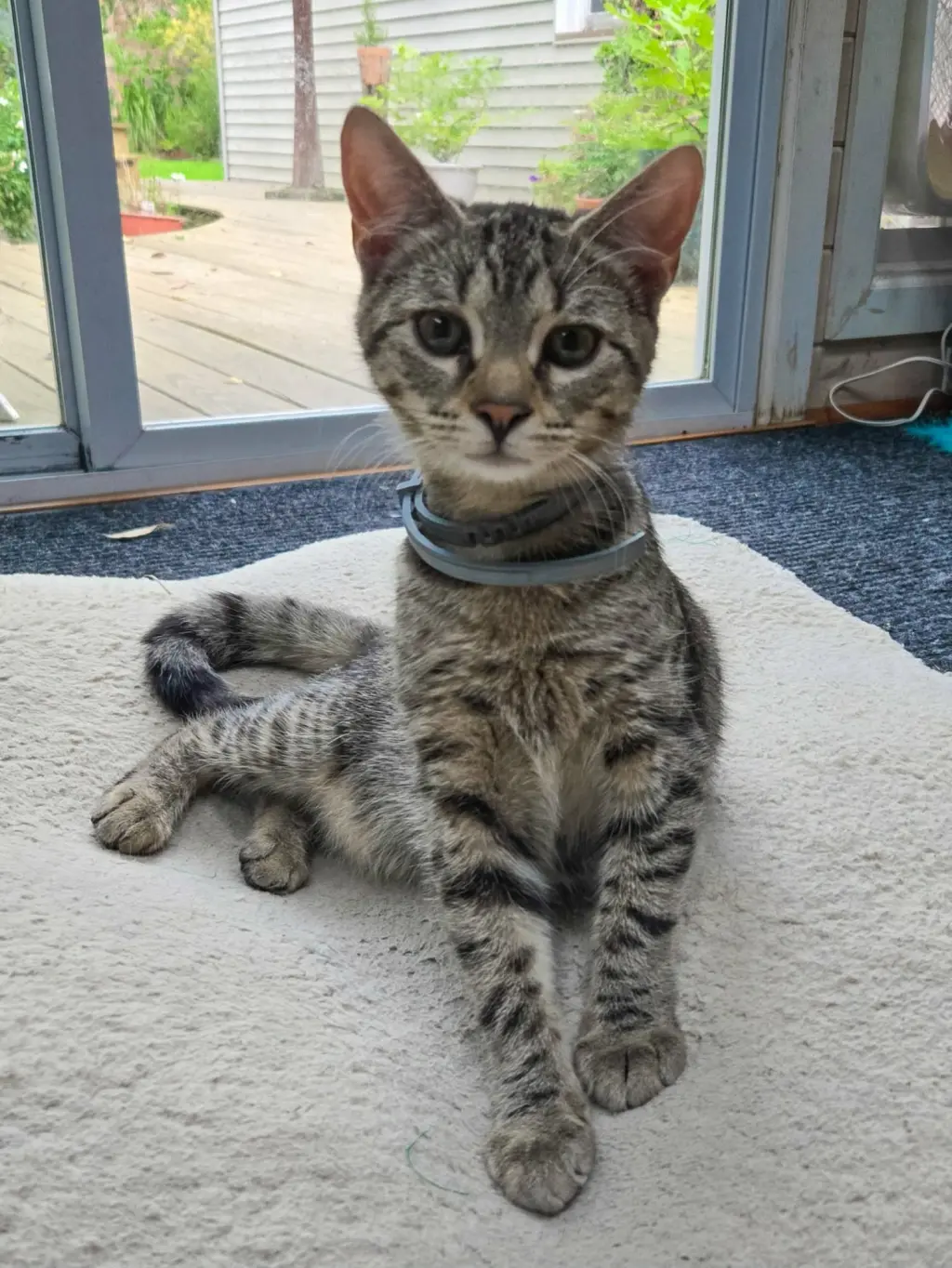 Pablo