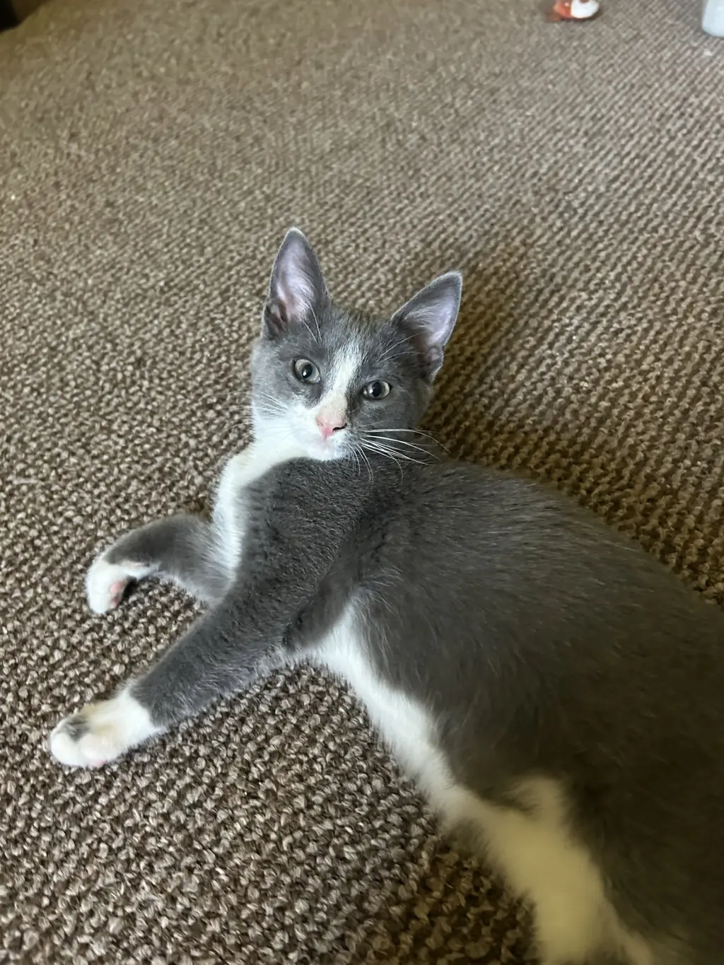Minnie