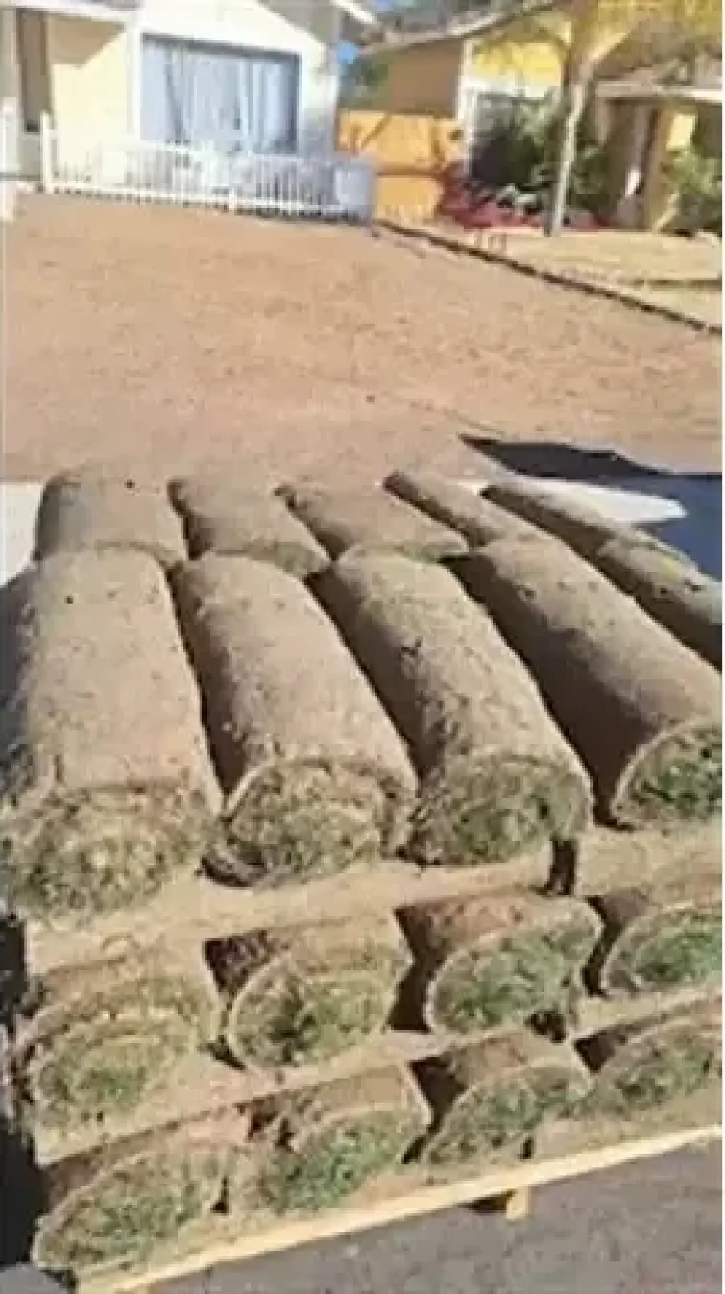 Jardinero Econoómico