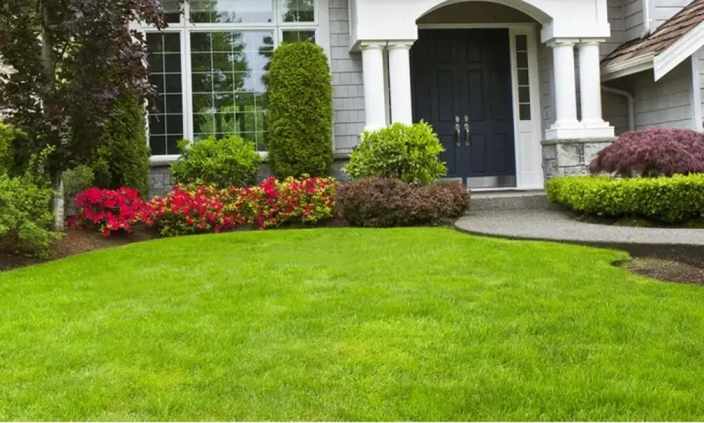 Expertos en Lawn Care