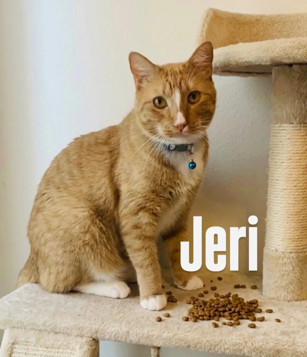 Jeri