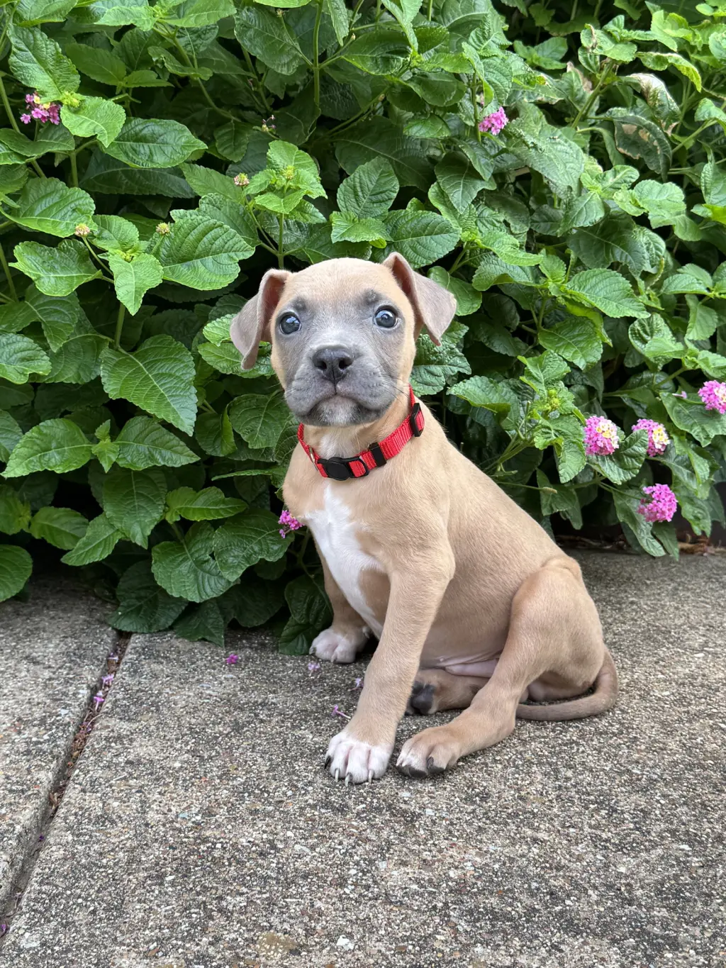Wayne