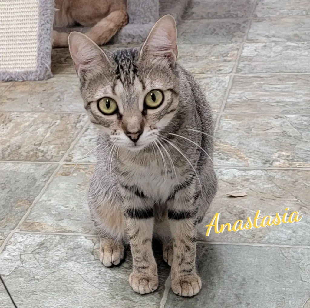 Anastasia #fairy-tale-princess