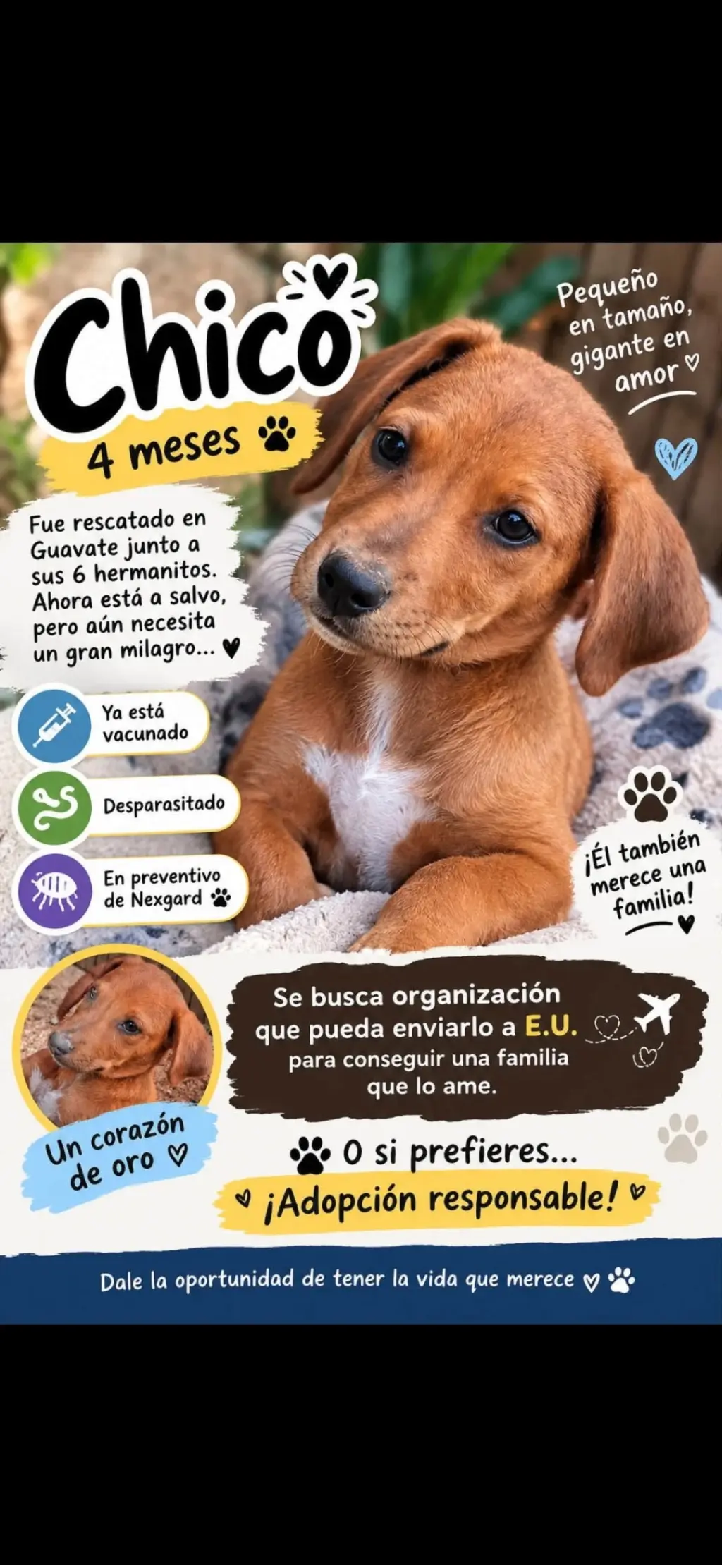 Chicho