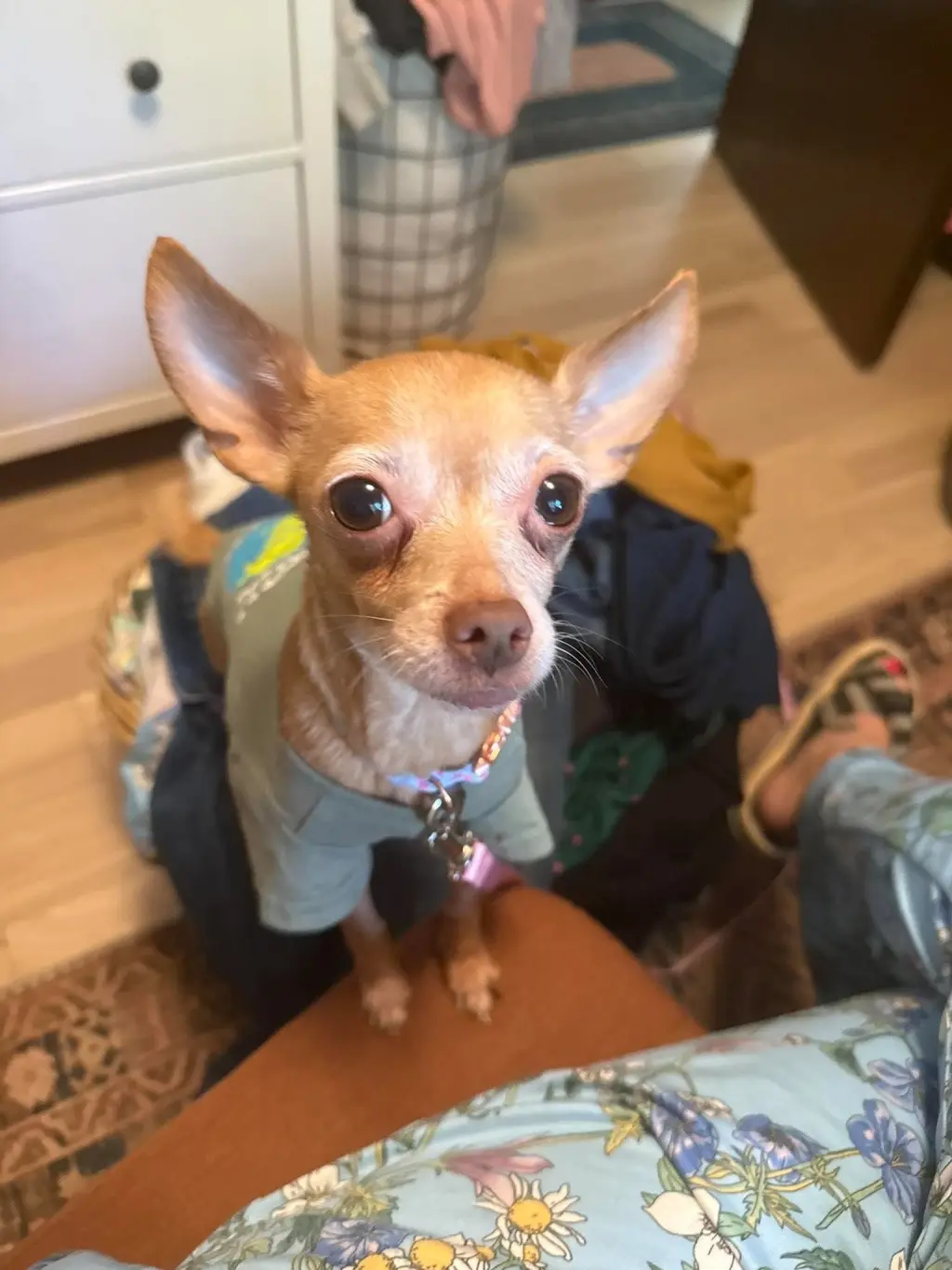 Taco