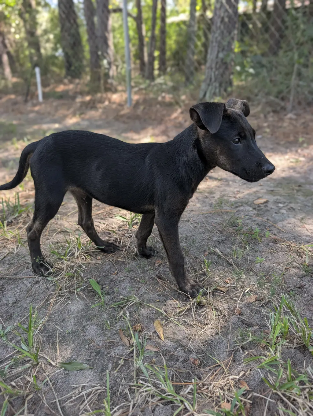 Tork