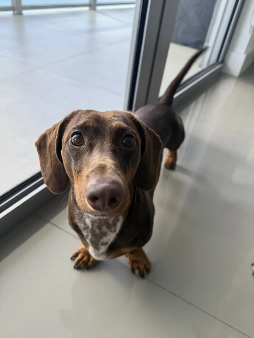 Mylo (in Miami, FL)