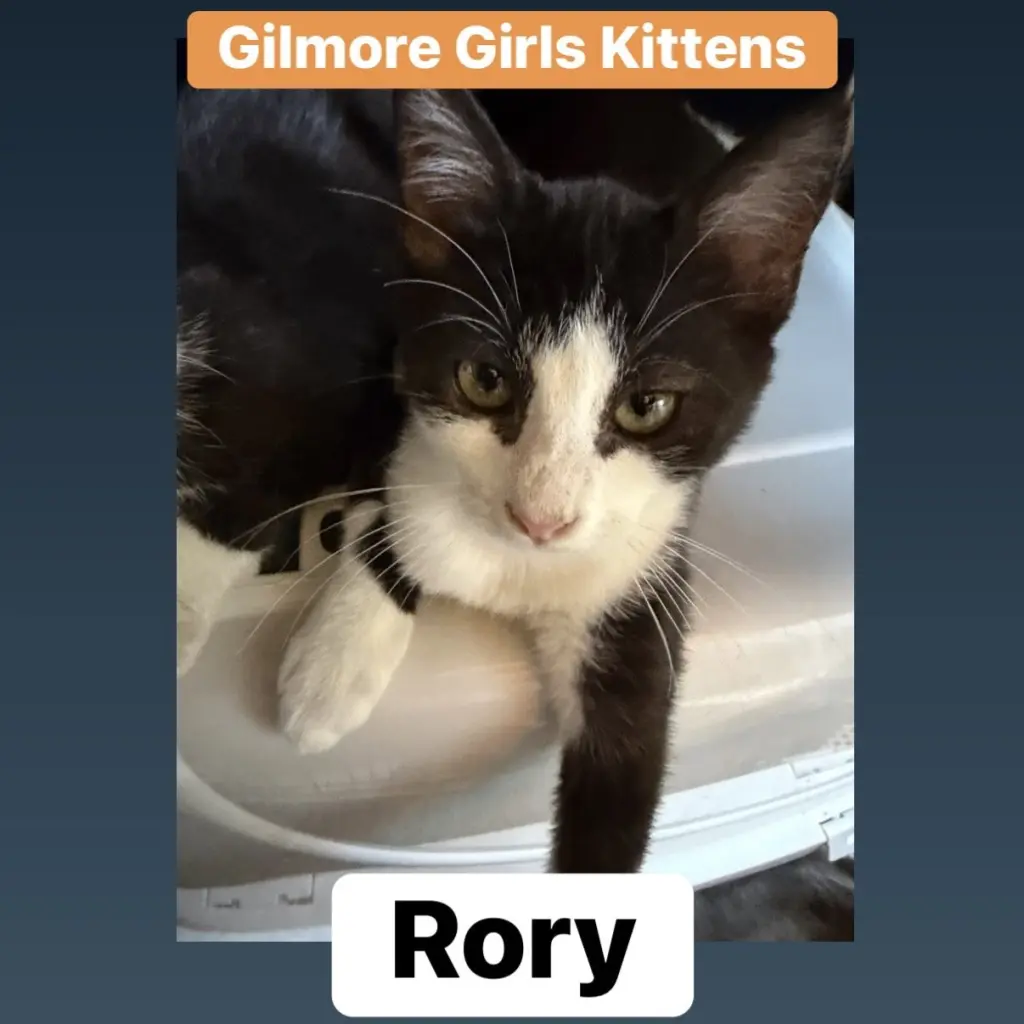 Rory L