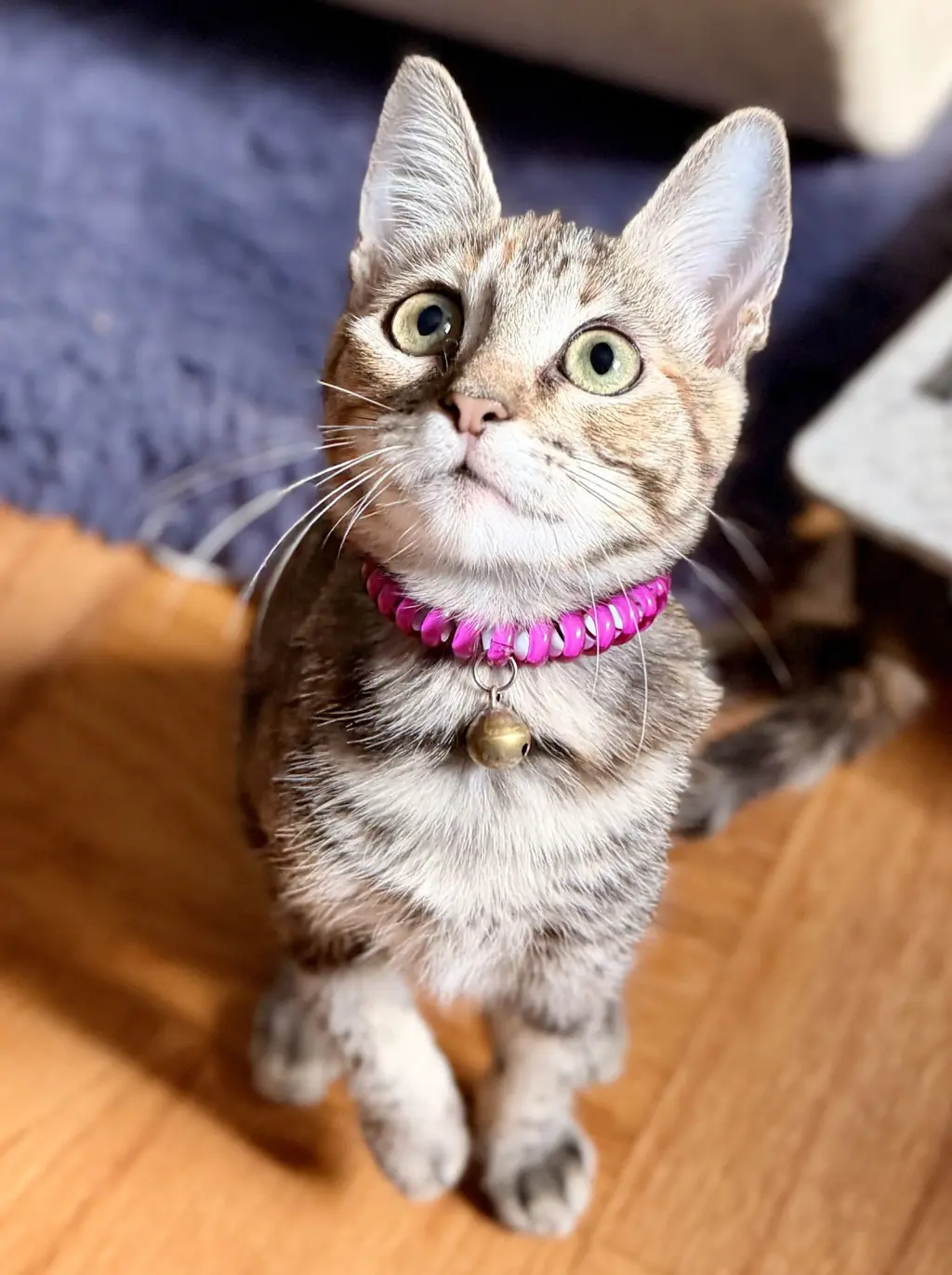 Little Ann