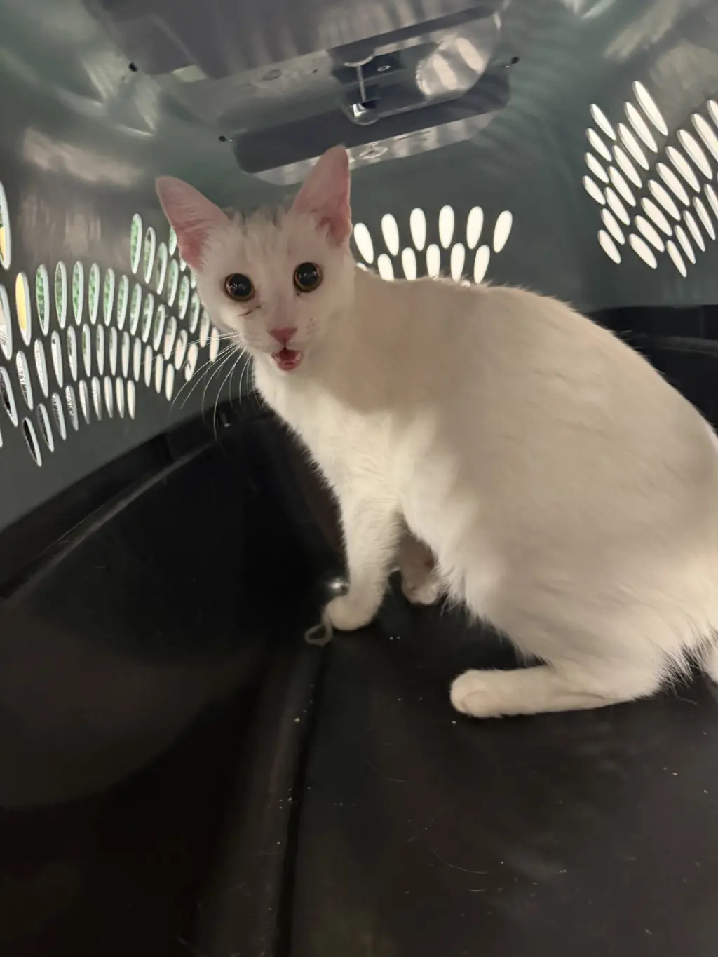 JFK