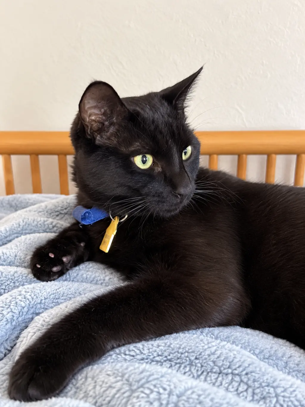 NOVA #2043 - Offered by Owner - Black Beauty