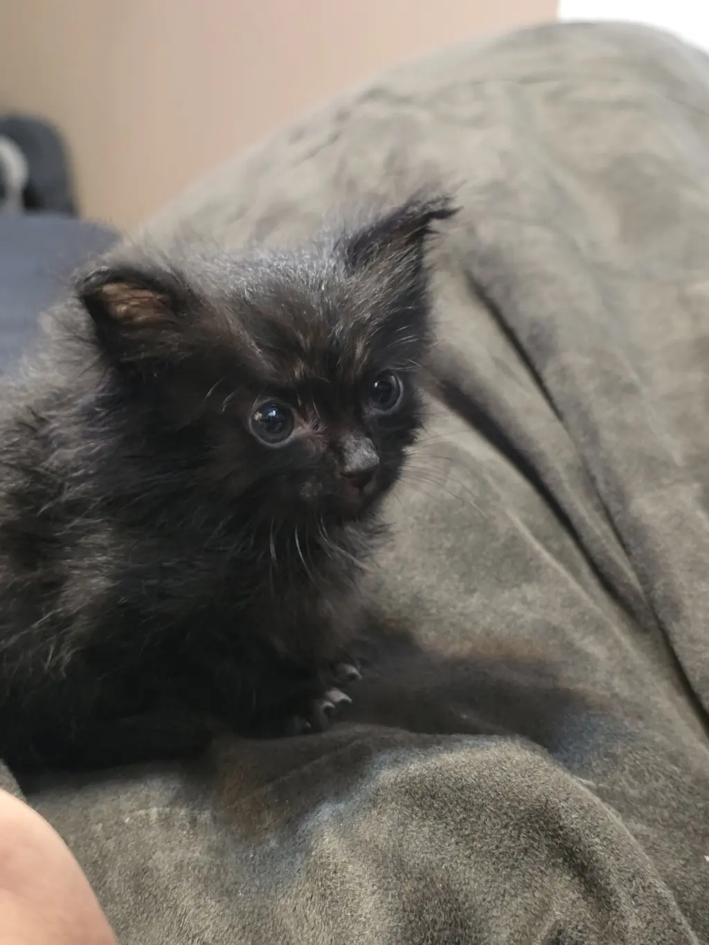 PEPPER