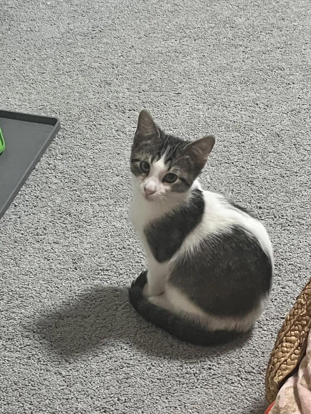 Nash