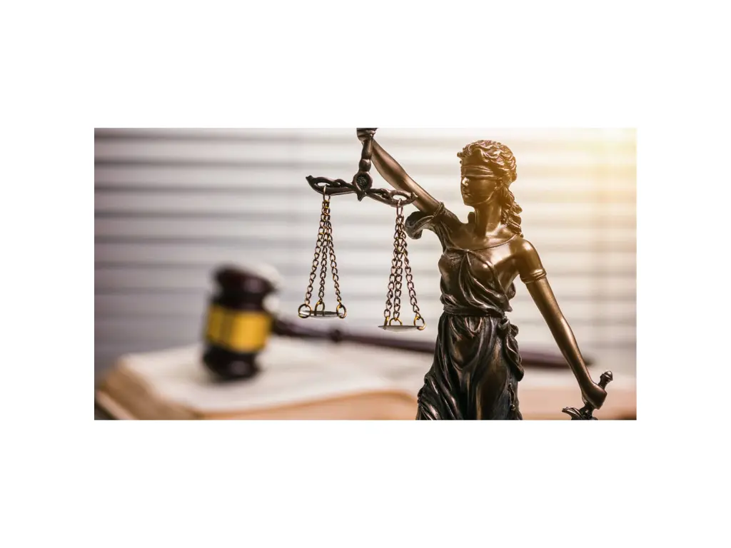 Defensa Legal para Usted