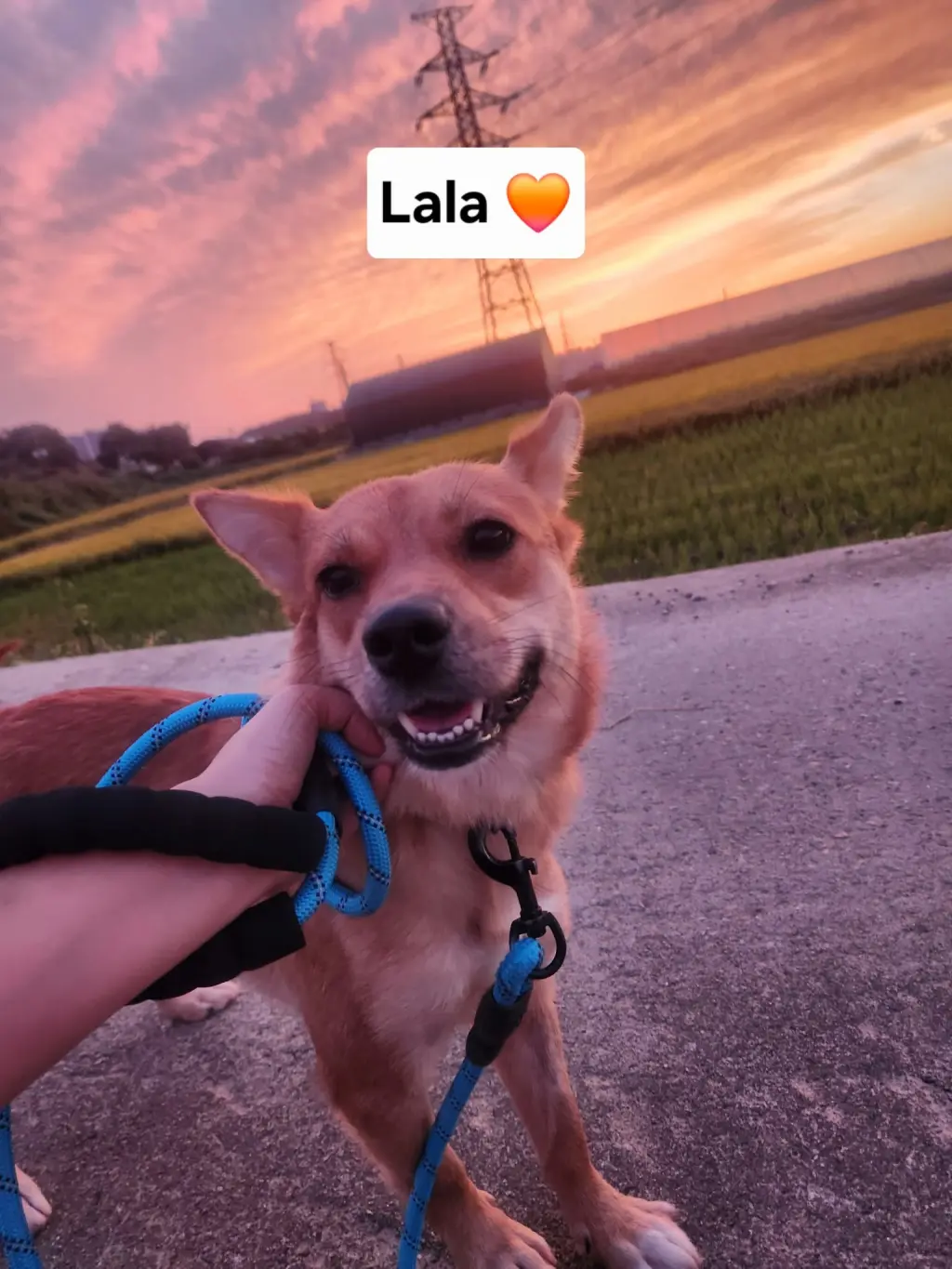 LALA