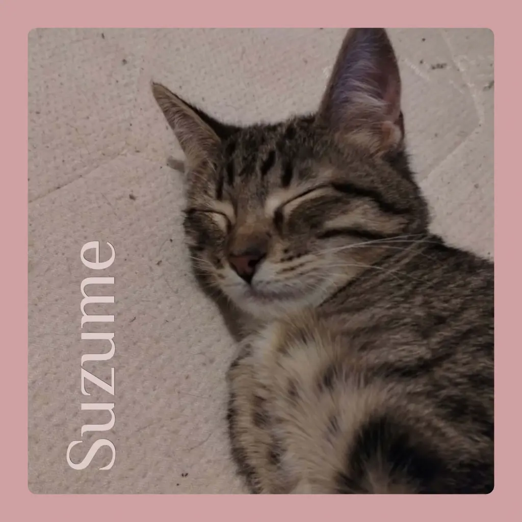 SUZUME