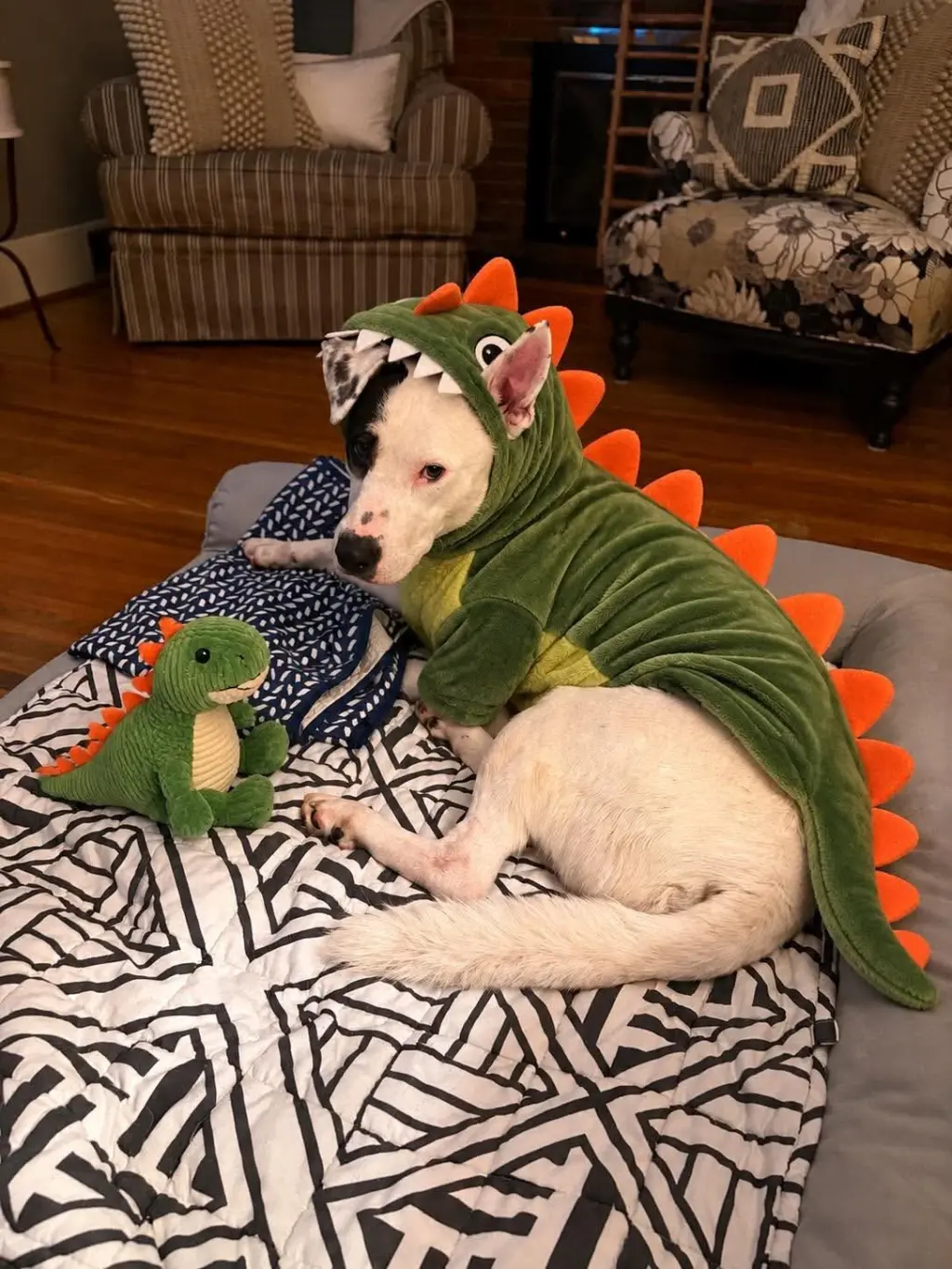 Petey