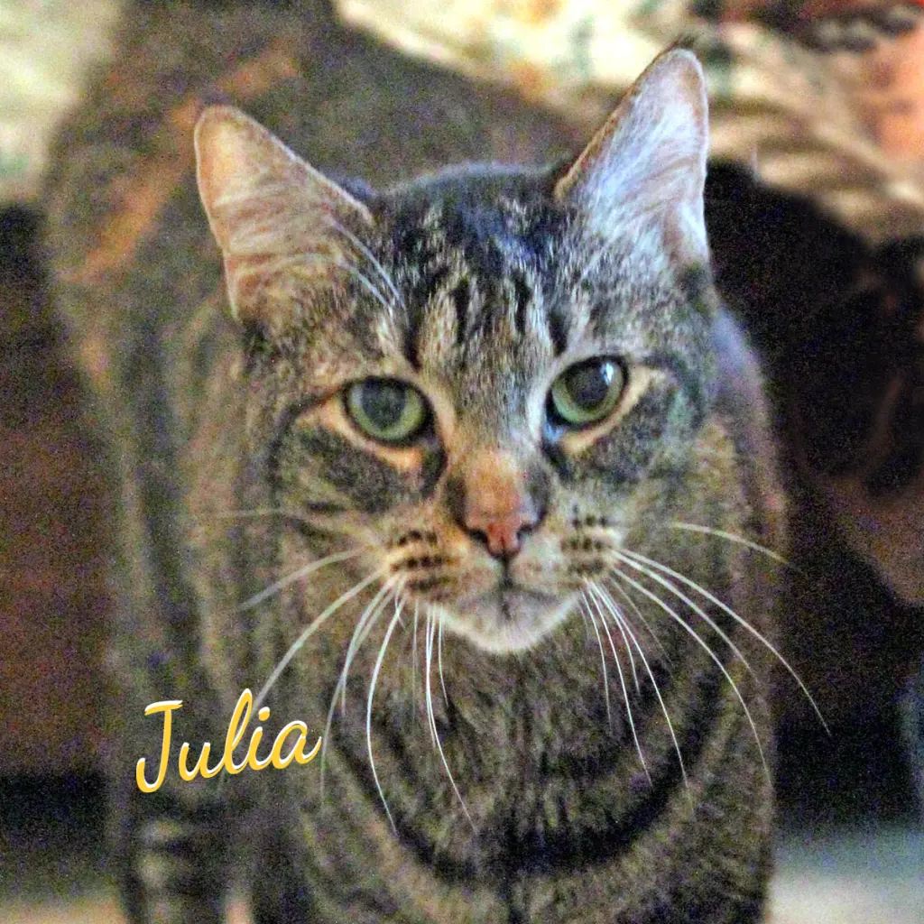 Julia #rolls-with-the-punches