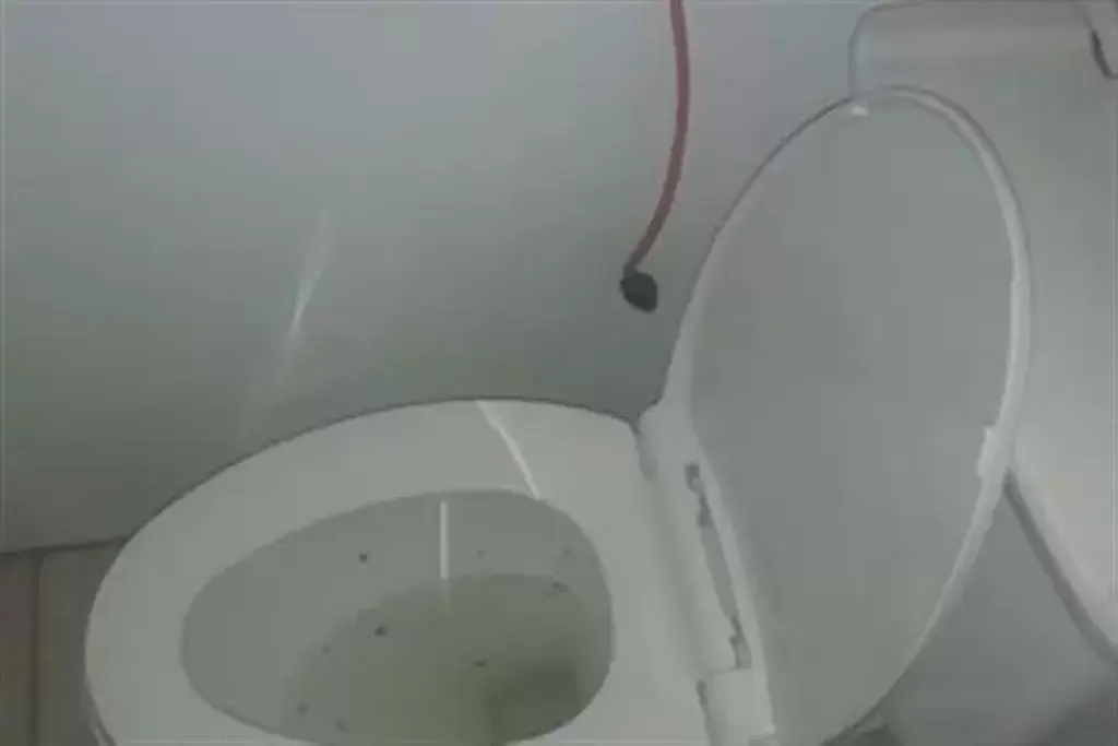 PLOMERO  24/7 Drenajes tapados