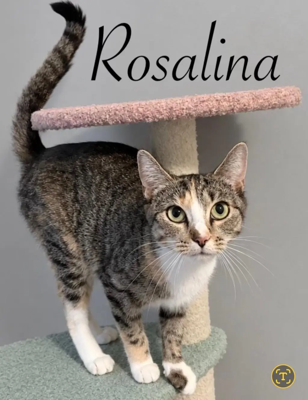 Rosalina
