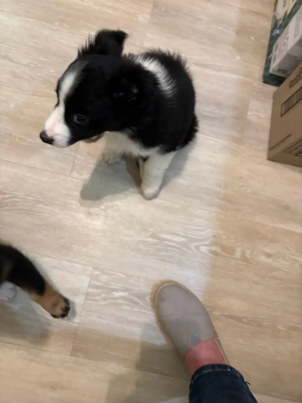 Riley