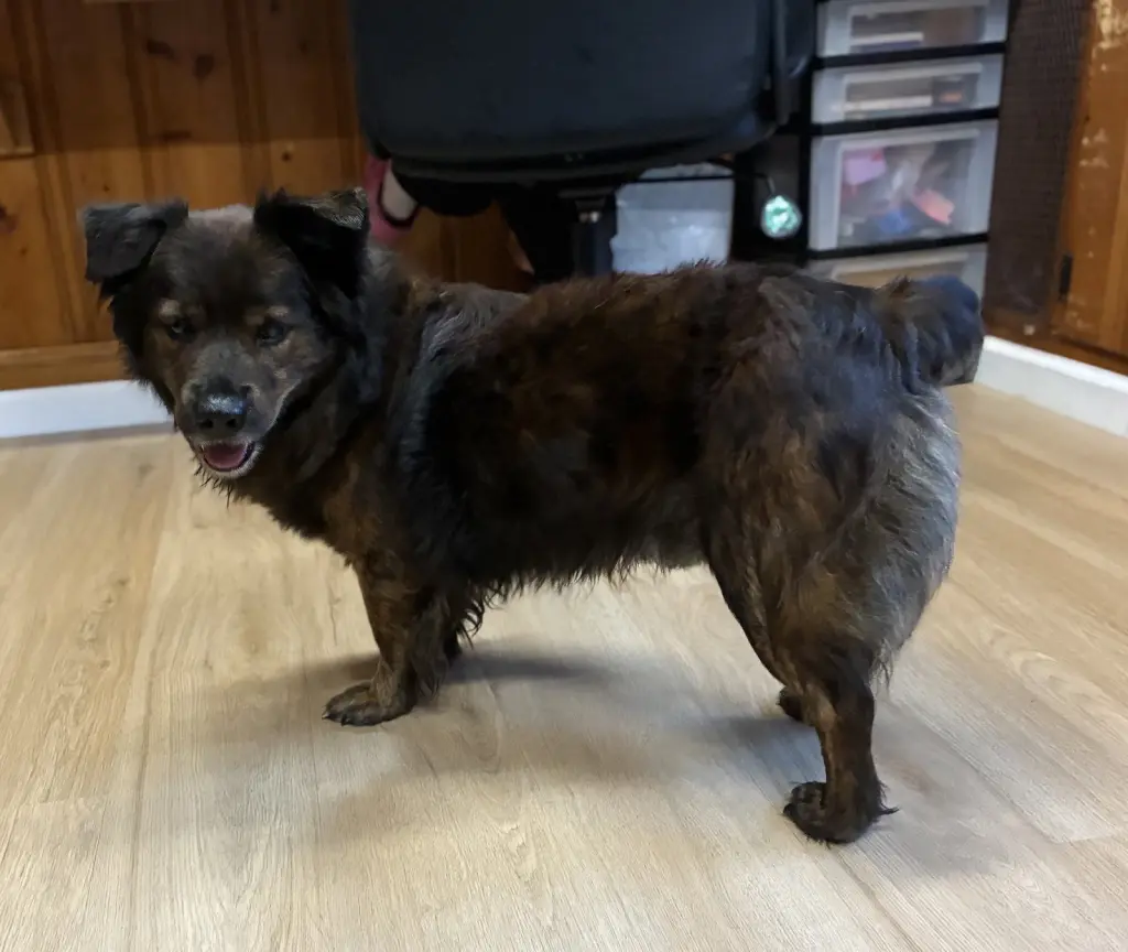 Roscoe